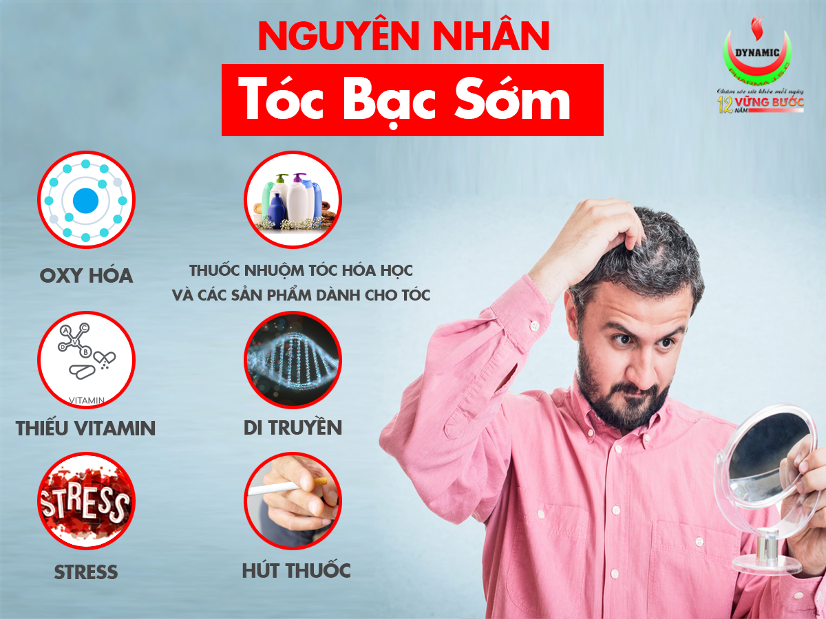 nguyen nhan gay ra toc bac som Nguyên nhân gây ra tóc bạc sớm