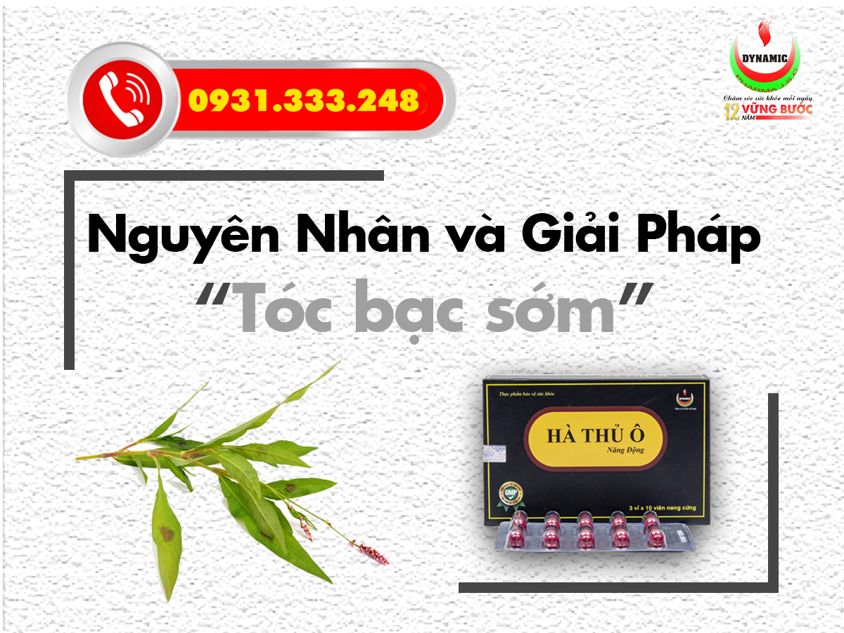 Hà Thủ Ô